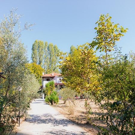 Diamond Farm Villa カラ・ネラ エクステリア 写真