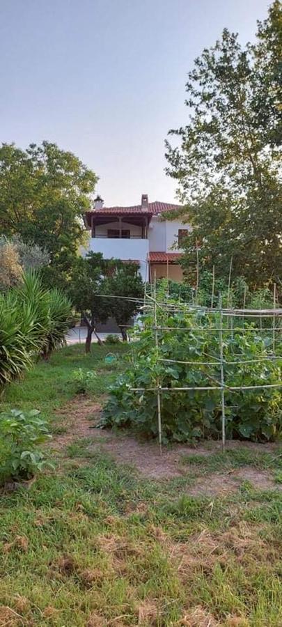 Diamond Farm Villa カラ・ネラ エクステリア 写真