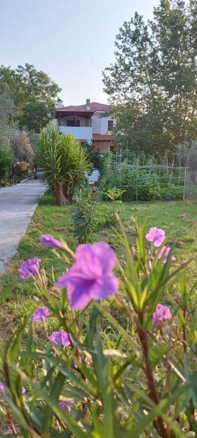 Diamond Farm Villa カラ・ネラ エクステリア 写真