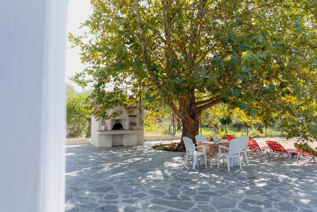 Diamond Farm Villa カラ・ネラ エクステリア 写真